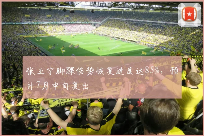 张玉宁脚踝伤势恢复进度达85%，预计7月中旬复出